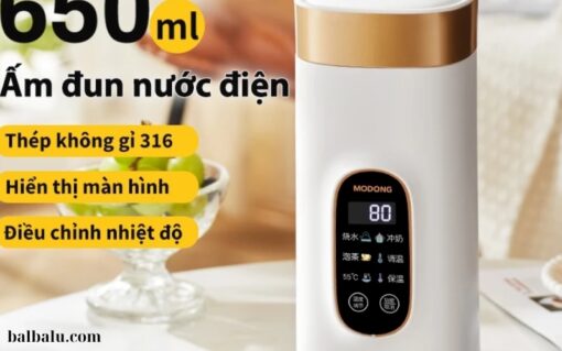 Bình giữ nhiệt MODONG (2)